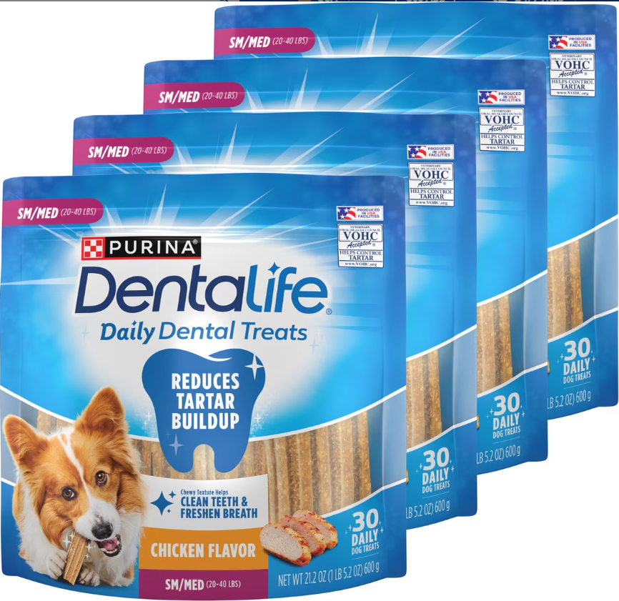 premium pet care guide