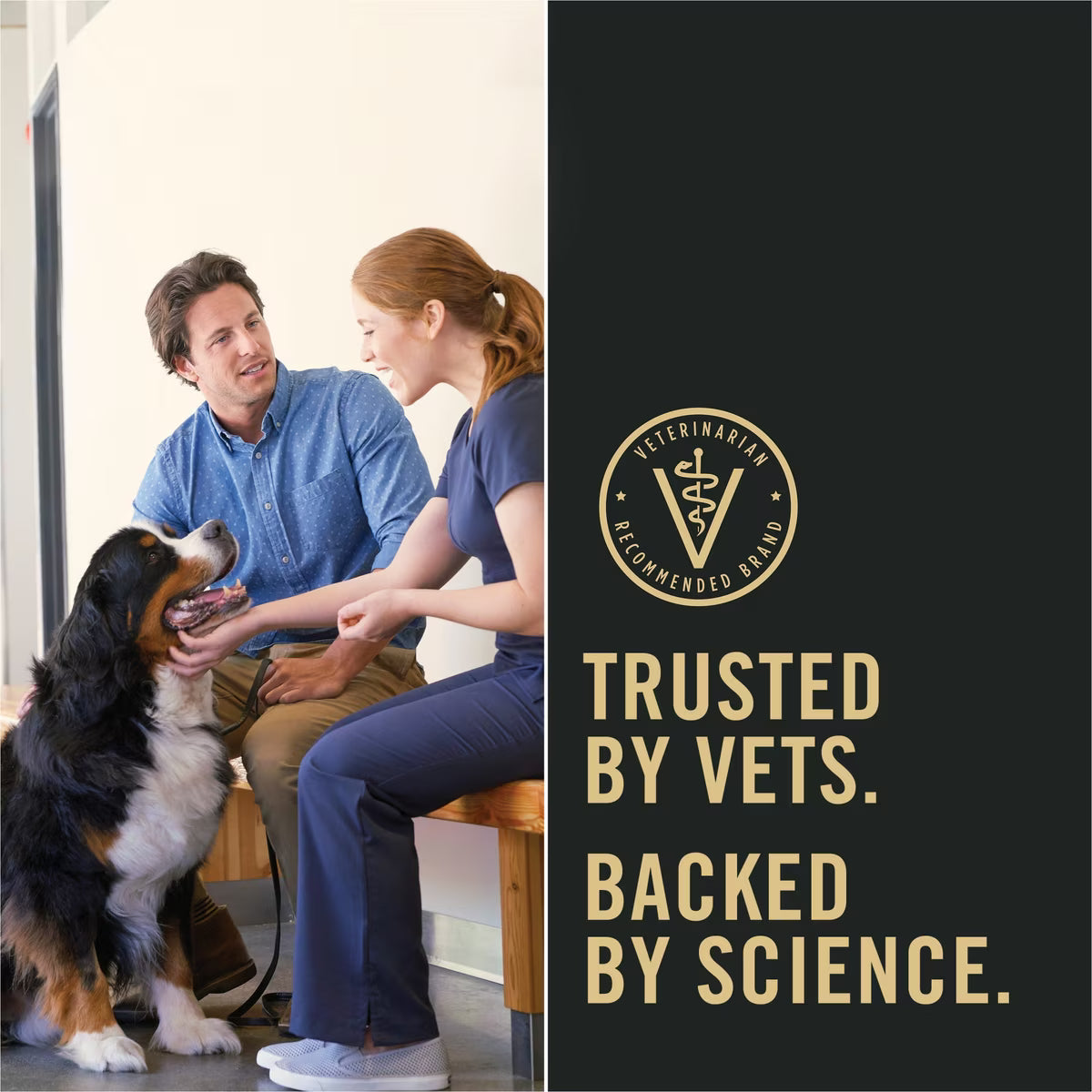 Purina Pro Plan Senior Dry Dog Food