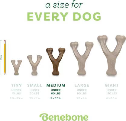 Bacon Wishbone Dog Chew Toy | Benebone Tough Pet Chew