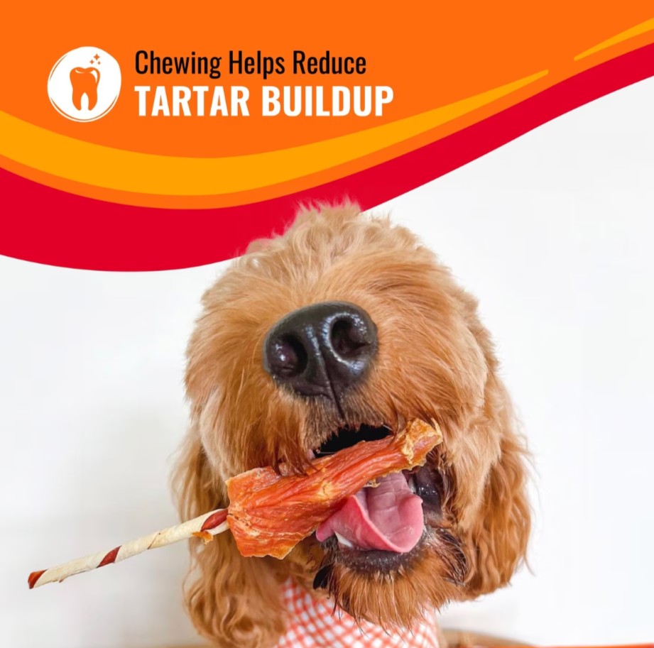 Good 'n' Fun Triple Flavor Kabobs Chicken, Duck & Chicken Liver Dog Treat Chews, 12-oz bag