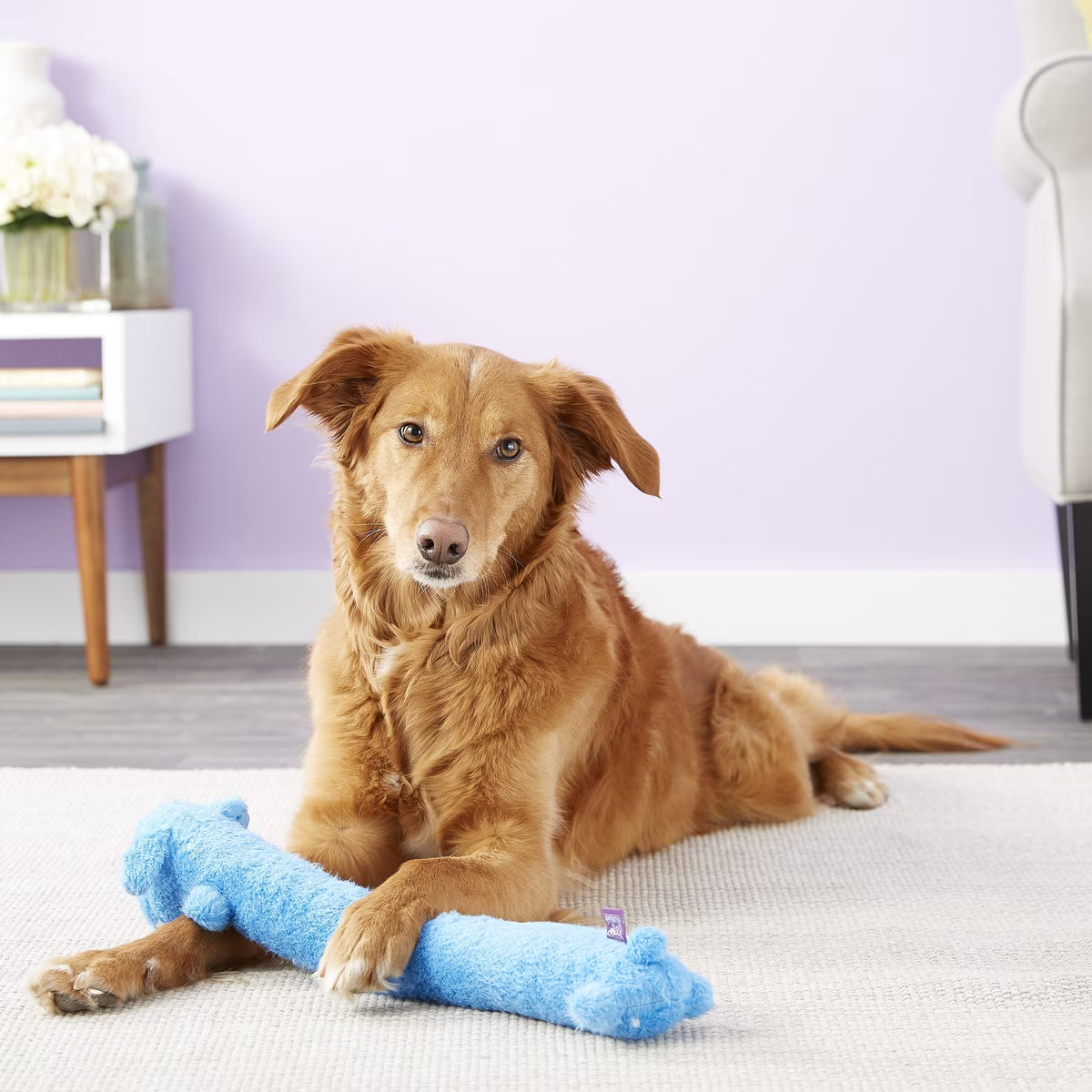Squeaky Plush Dog Toy