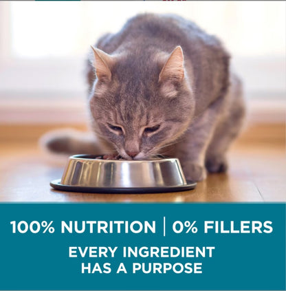 Purina ONE Tender Selects Blend with Real Chicken Natural Dry Cat Food
