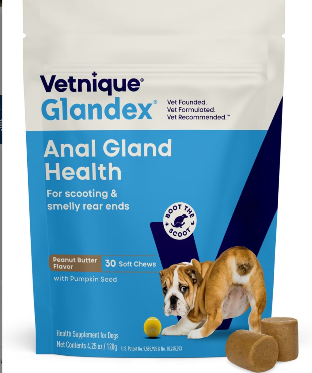 Vetnique Labs Glandex Anal Gland Support Soft Chews with Pumpkin, Digestive Enzymes, Probiotics & Fiber Boot the Scoot Bacon Flavored Supplement for Dogs