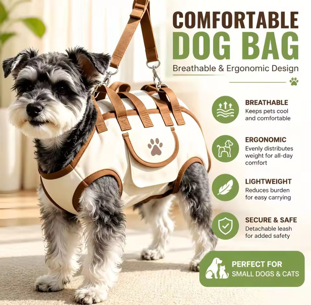 3-in-1 Breathable Pet Backpack