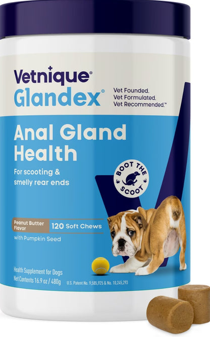 Vetnique Labs Glandex Anal Gland Support Soft Chews with Pumpkin, Digestive Enzymes, Probiotics & Fiber Boot the Scoot Bacon Flavored Supplement for Dogs