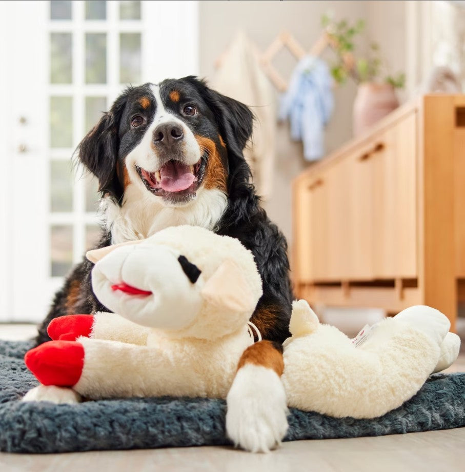 Multipet Lamb Chop Plush Dog Toy