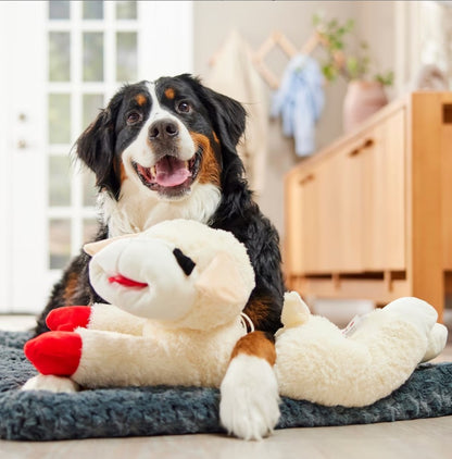 Multipet Lamb Chop Plush Dog Toy