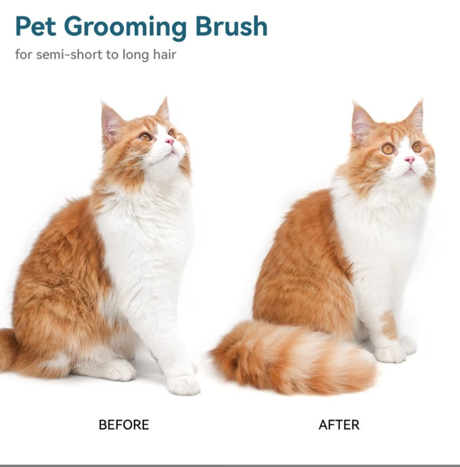 aumuca Self Cleaning Slicker Brush Purple
