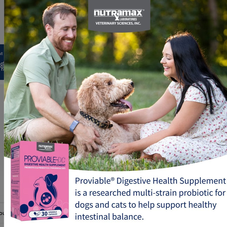 Nutramax Proviable Probiotics & Prebiotics Digestive Health Supplement for Dogs & Cats, 80 count