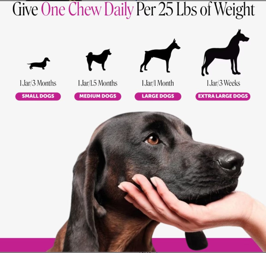 Pet Honesty 10-in-1 Multivitamin with Probiotics, Glucosamine & Omega-3 Chicken Flavored Soft Chews Vitamins & Supplements for Dogs
