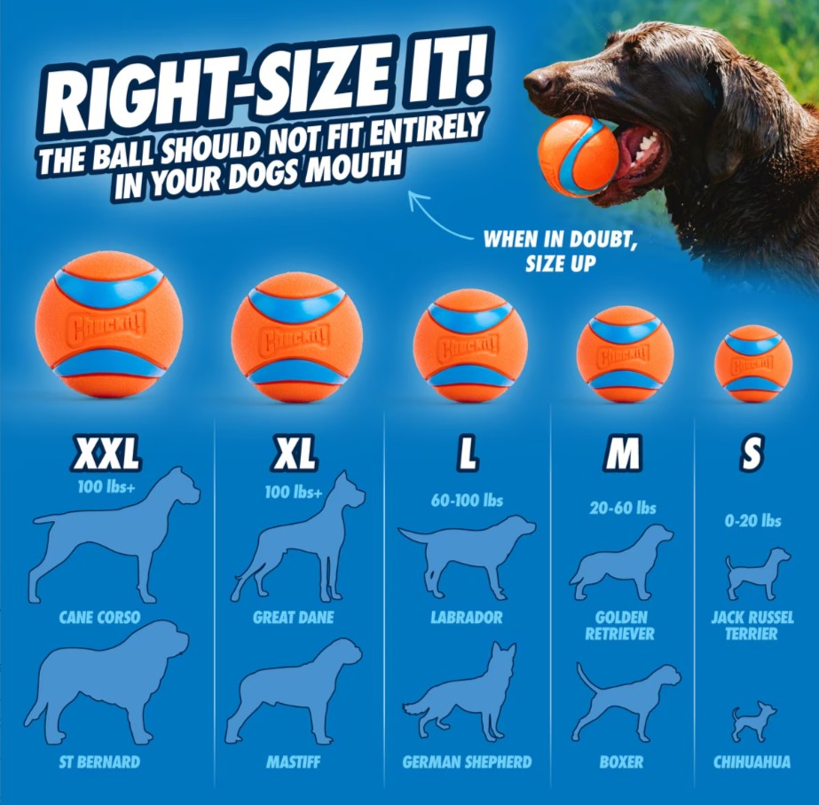 Chuckit! Ultra Rubber Ball Tough Dog Toy, Medium, 2 pack
