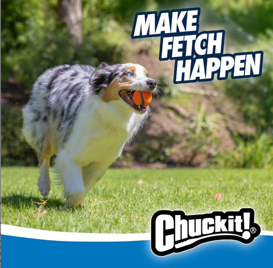 Chuckit! Ultra Rubber Ball Tough Dog Toy, Medium, 2 pack