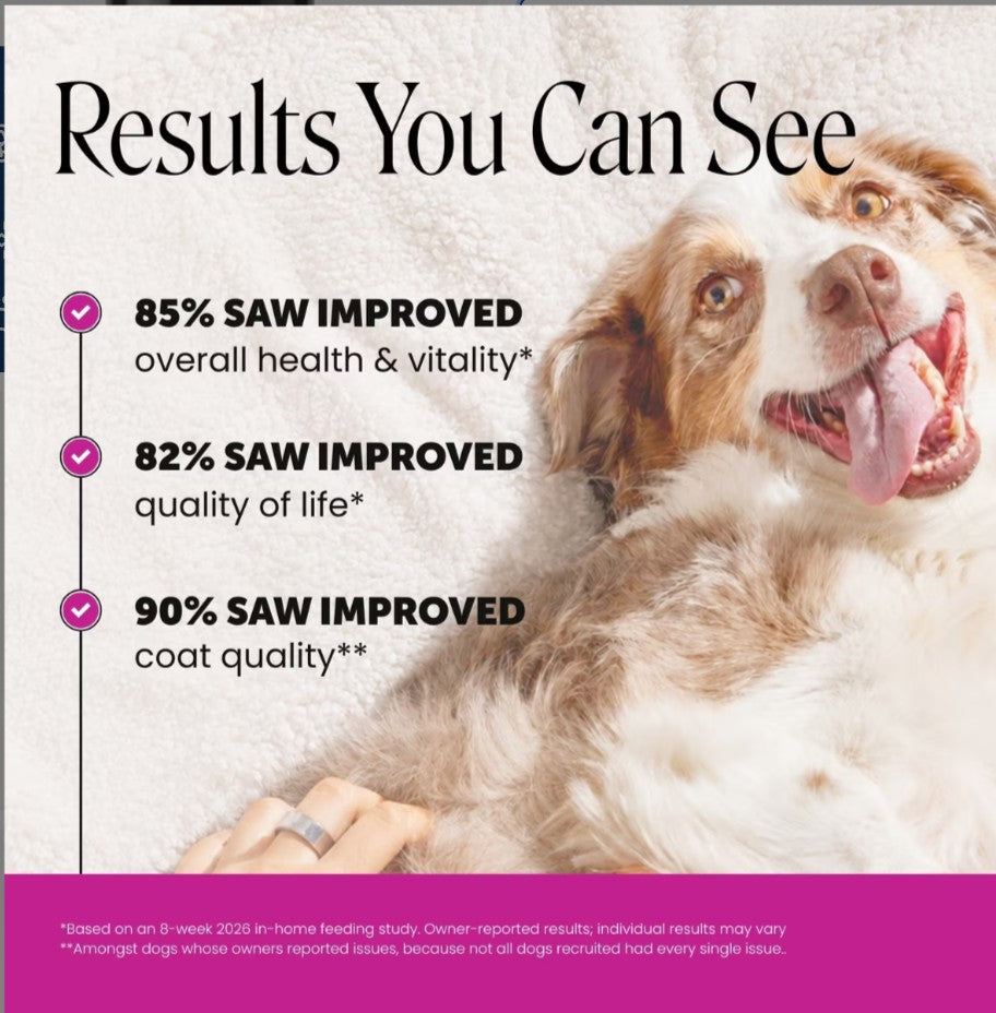 Pet Honesty 10-in-1 Multivitamin with Probiotics, Glucosamine & Omega-3 Chicken Flavored Soft Chews Vitamins & Supplements for Dogs