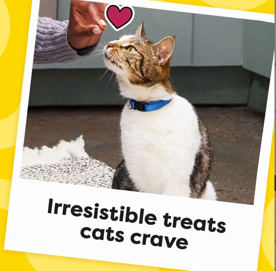 Temptations Classic Blissful Catnip Flavor Soft & Crunchy Cat Treats,