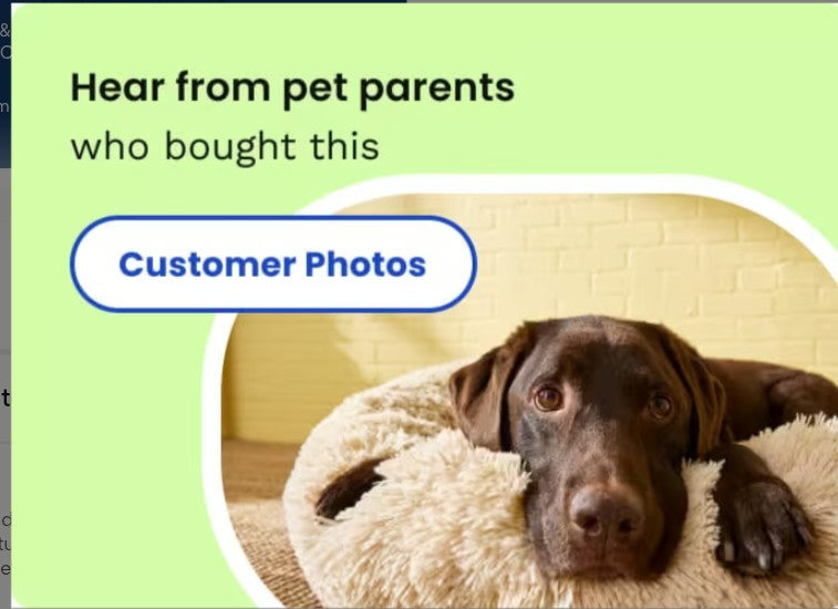 DentaLife Dog Dental Chews