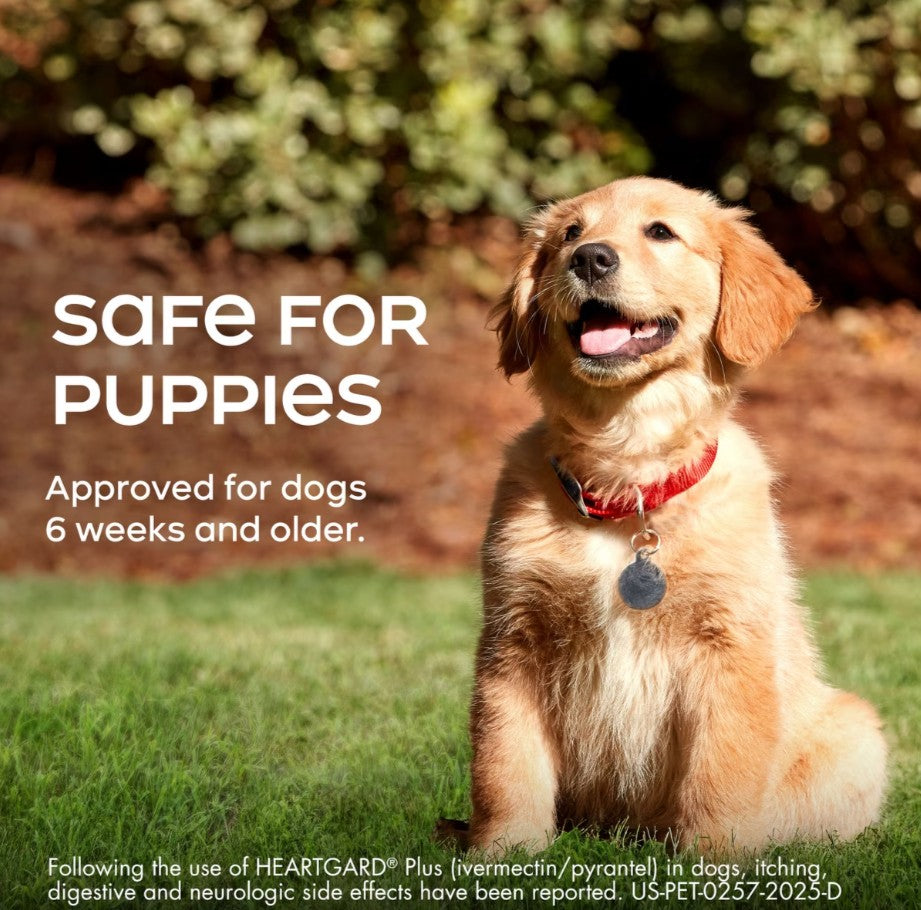 Heartgard Plus Chew for Dogs
