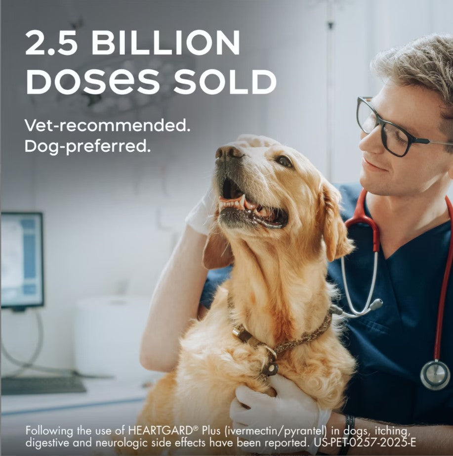 Heartgard Plus Chew for Dogs