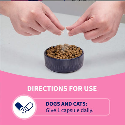 Nutramax Proviable Probiotics & Prebiotics Digestive Health Supplement for Dogs & Cats, 80 count