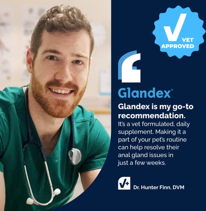 Vetnique Labs Glandex Anal Gland Support Soft Chews with Pumpkin, Digestive Enzymes, Probiotics & Fiber Boot the Scoot Bacon Flavored Supplement for Dogs