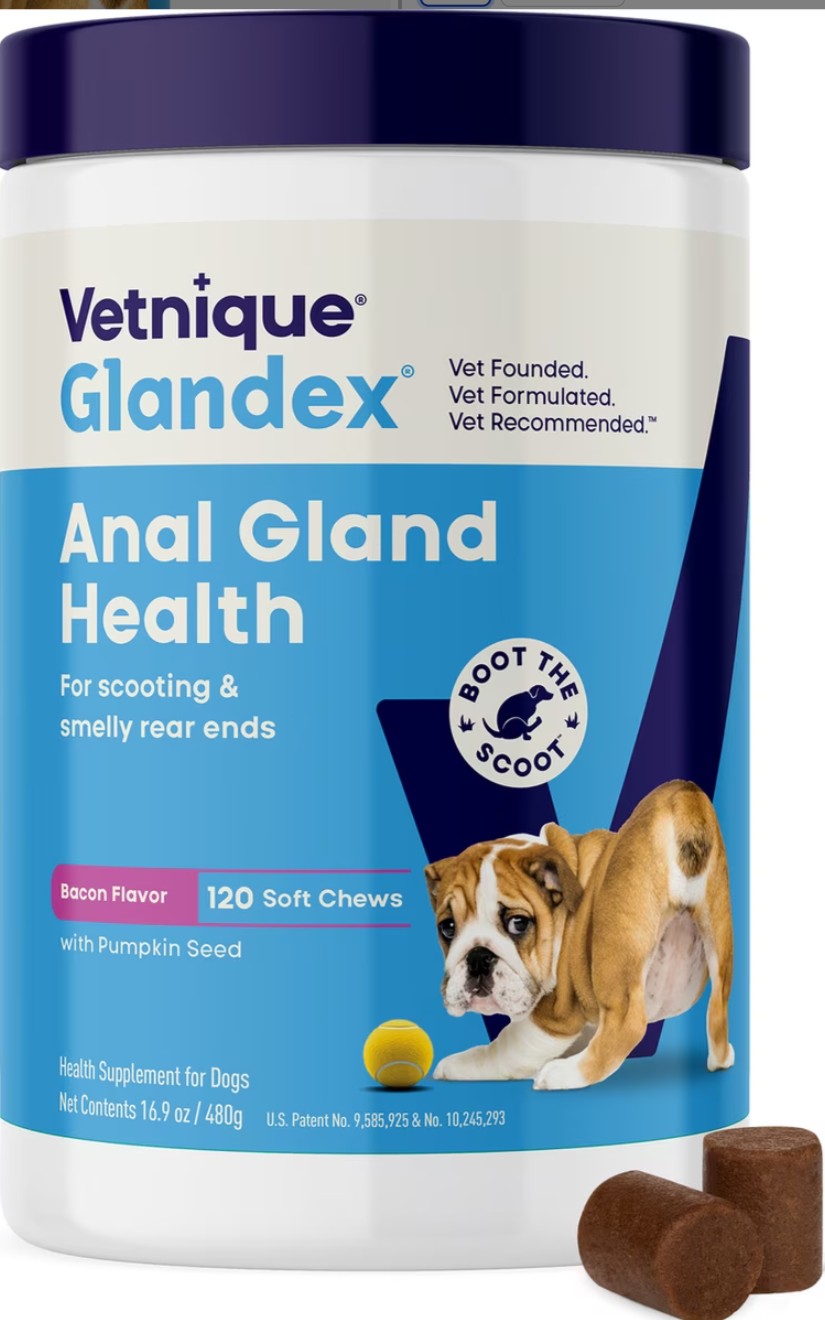 Vetnique Labs Glandex Anal Gland Support Soft Chews with Pumpkin, Digestive Enzymes, Probiotics & Fiber Boot the Scoot Bacon Flavored Supplement for Dogs