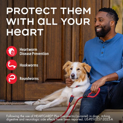 Heartgard Plus Chew for Dogs