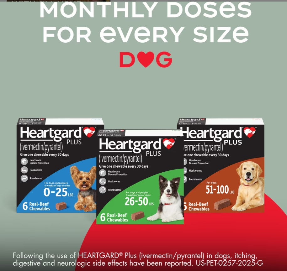Heartgard Plus Chew for Dogs