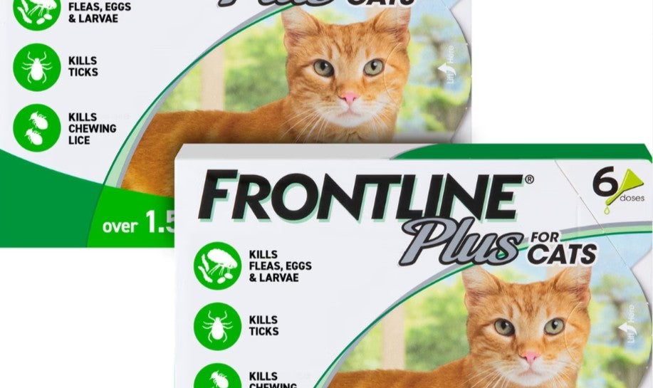 Frontline Plus Flea & Tick Spot Treatment for Cats, over 1.5 lbs, 12 Doses
