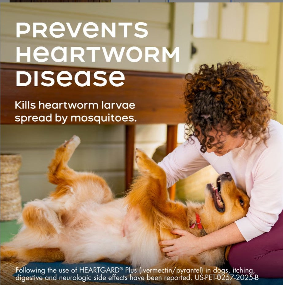 Heartgard Plus Chew for Dogs