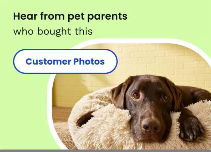 Multipet Lamb Chop Plush Dog Toy