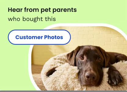 Multipet Lamb Chop Plush Dog Toy