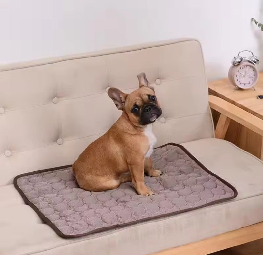Pet Cooling Mat - Summer Ice Silk Cooling Pad for Dogs & Cats